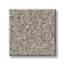 Munsey Park Cocoa Texture Carpet with Pet Perfect swatch